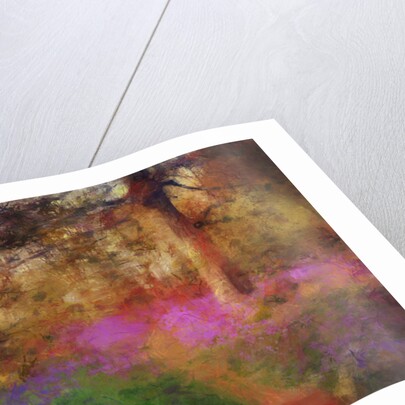 Bluebells at Calke Abbey by Mark Gordon