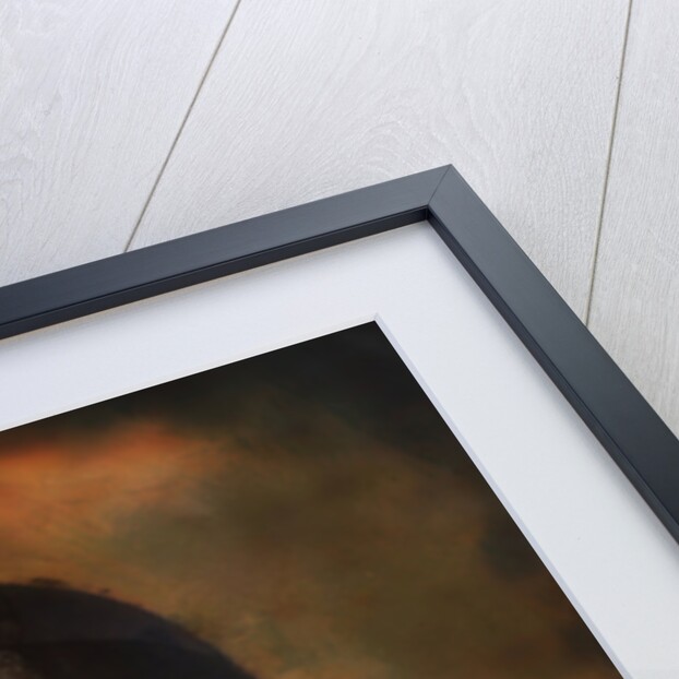 umbrellas and solar flares by Mark Gordon