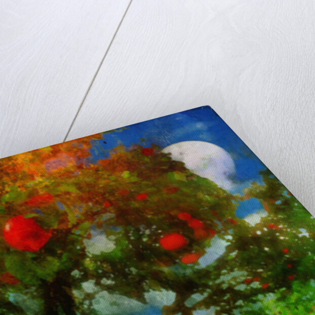 orchard in moonlight by Mark Gordon