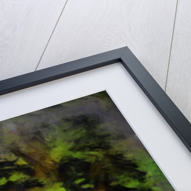 Green man by Mark Gordon