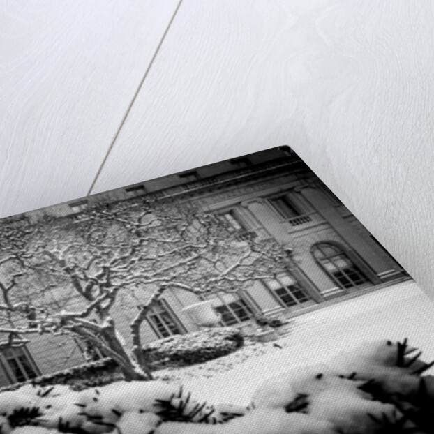 Frick Collection Winter Nº3, 2017 by Guilherme Pontes