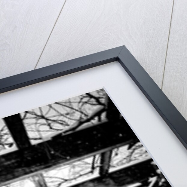 Central Park Winter, 2017 by Guilherme Pontes