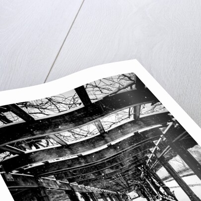 Central Park Winter, 2017 by Guilherme Pontes