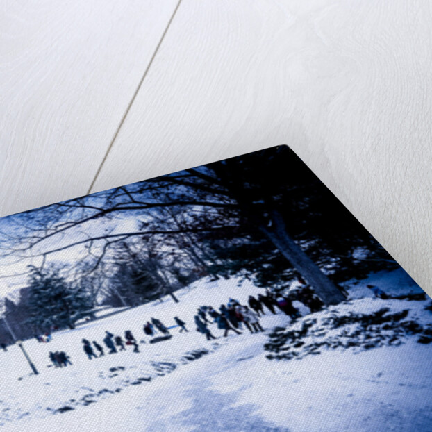 The Tourists in the Snow, 2017 by Guilherme Pontes