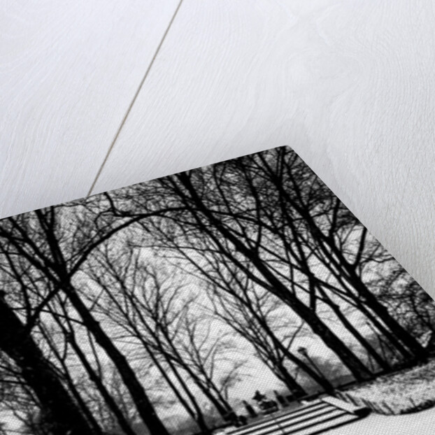 Central Park Steps, 2017 by Guilherme Pontes