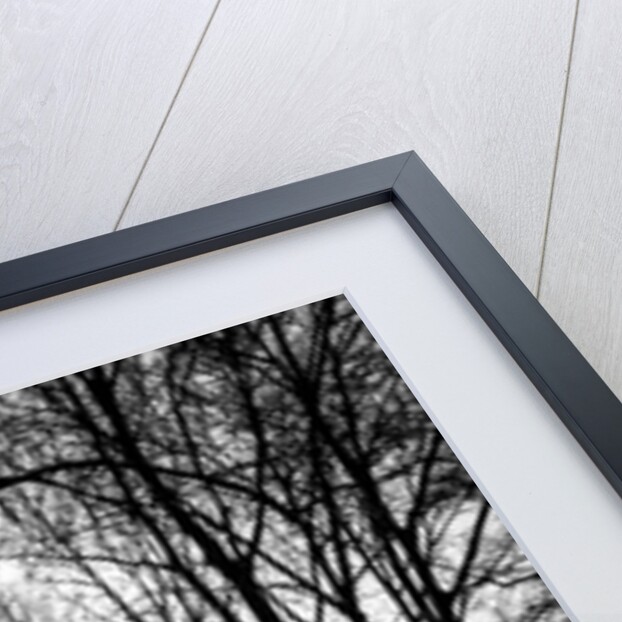 Central Park Steps, 2017 by Guilherme Pontes