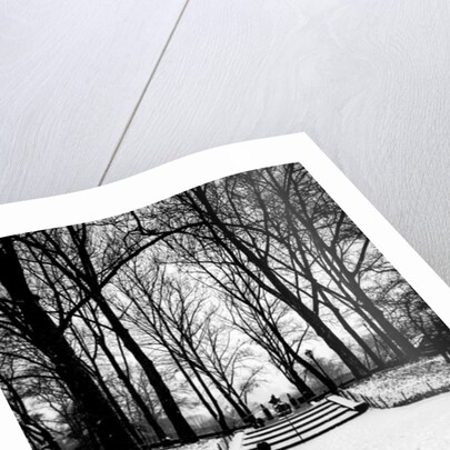 Central Park Steps, 2017 by Guilherme Pontes