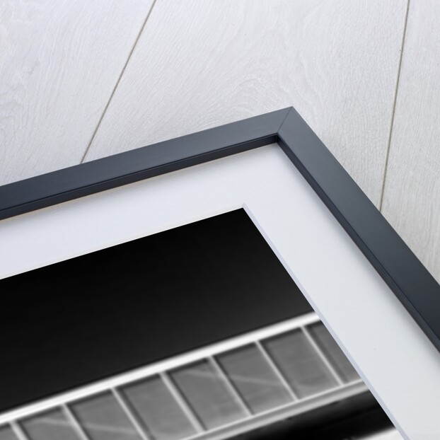 Museu dos Coches, 2018 by Guilherme Pontes