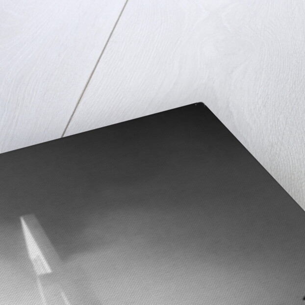 Crossings, 2018 by Guilherme Pontes