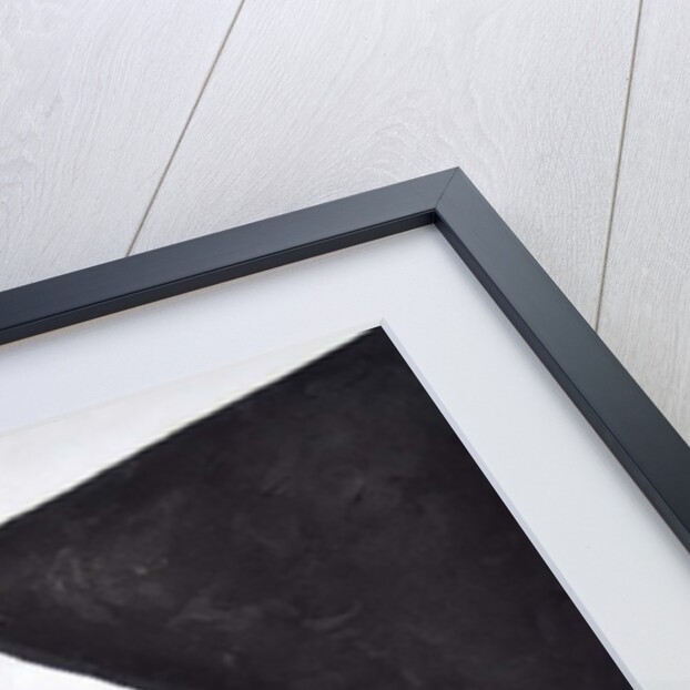 Lygia Nº4, 2014 by Guilherme Pontes