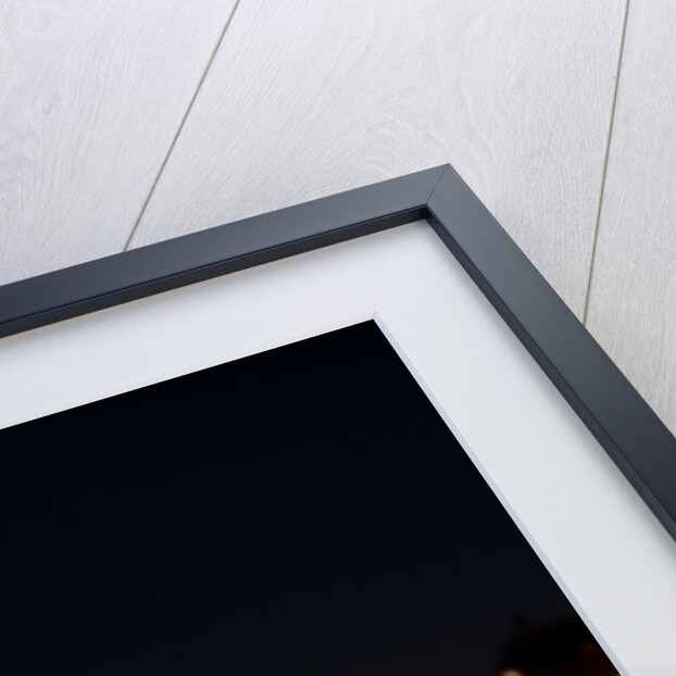 Seine Floue, 2022 by Guilherme Pontes