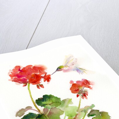 Hummingbird with Geranium, 2015 by John Keeling
