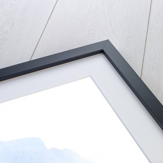 Purple finch, 2016 by John Keeling