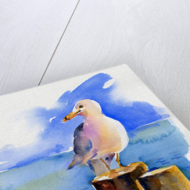 Seagull on dock, 2014, by John Keeling