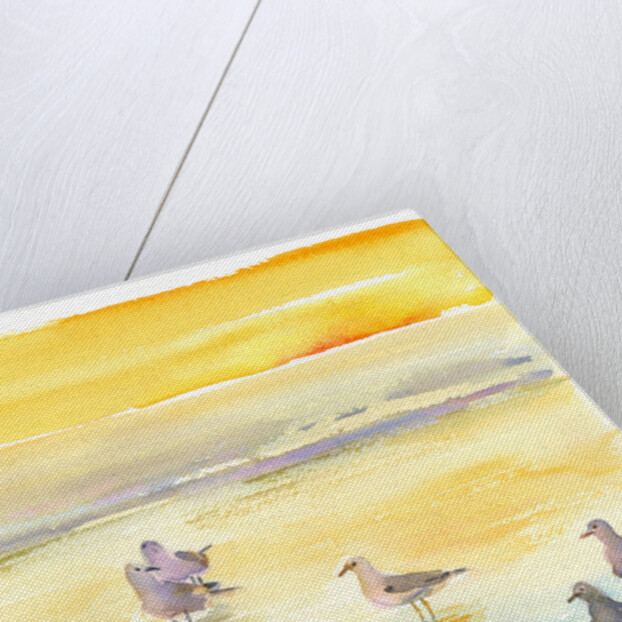 Seagulls on beach, 2014 by John Keeling