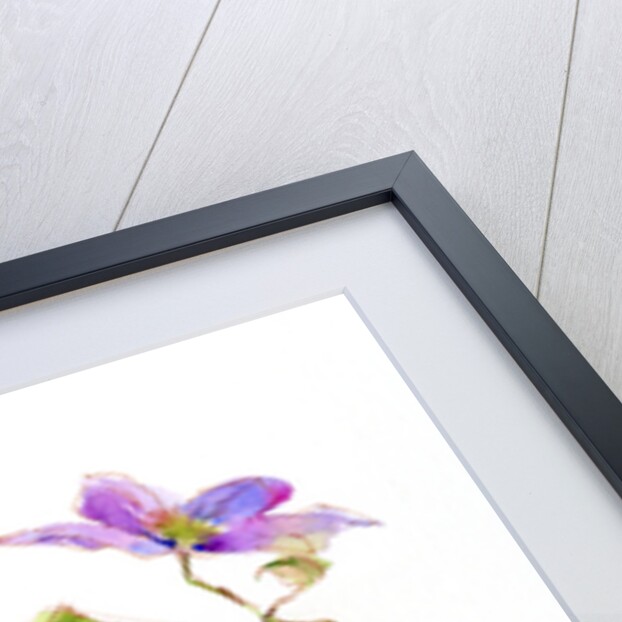 Wren with birdhouse and clematis, 2016 by John Keeling