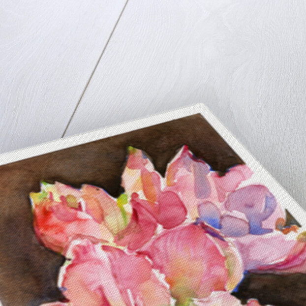 Amaryllis with brown background, 2015 by John Keeling