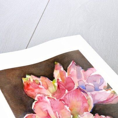 Amaryllis with brown background, 2015 by John Keeling