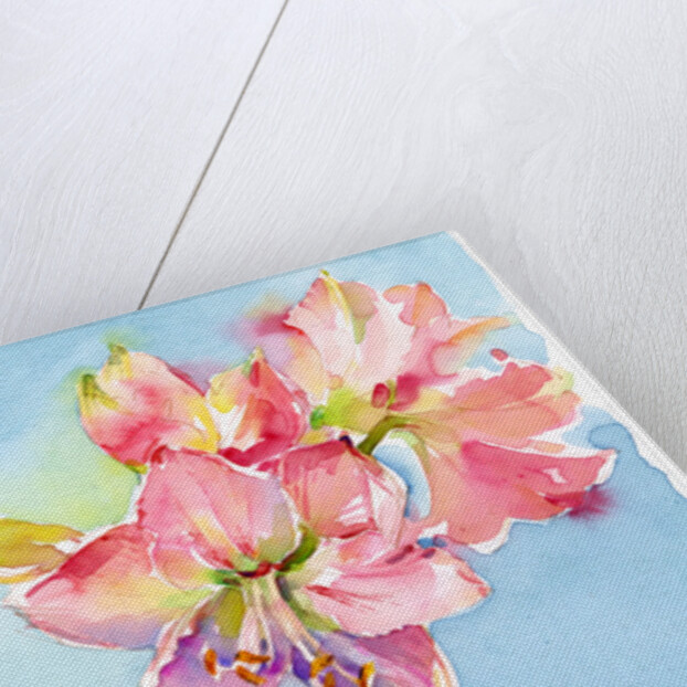 Amaryllis with aqua background, 2015 by John Keeling