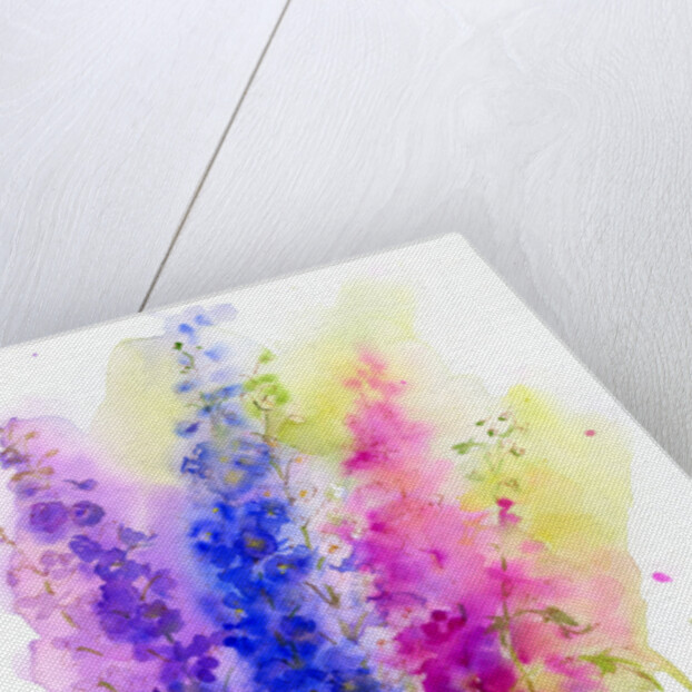 Delphinium, 2016 by John Keeling