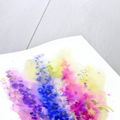 Delphinium, 2016 by John Keeling