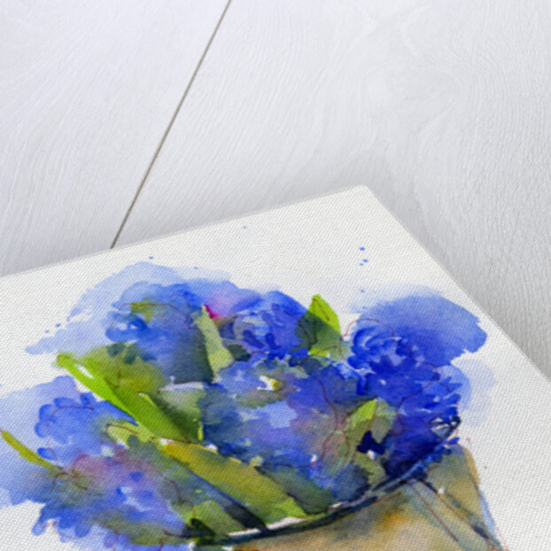 Hyacinth in pitcher, 2014 by John Keeling