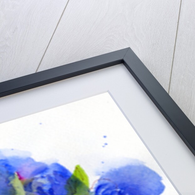 Hyacinth in pitcher, 2014 by John Keeling