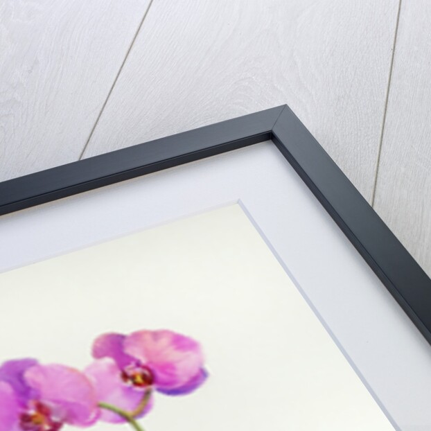 Orchid botanical, 2013 by John Keeling