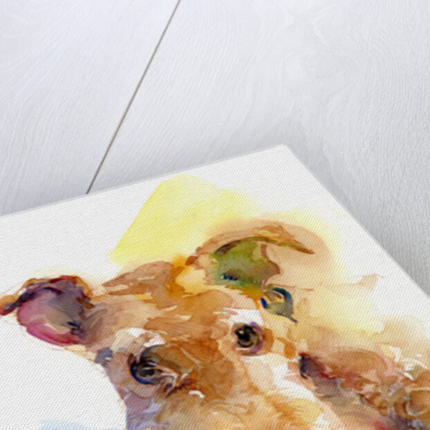 Dexter portrait, 2015 by John Keeling