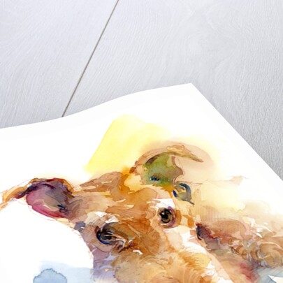 Dexter portrait, 2015 by John Keeling