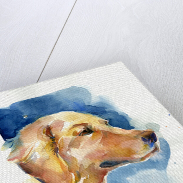 Golden Retriever, 2015 by John Keeling