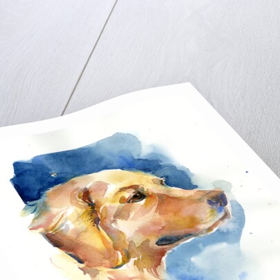 Golden Retriever, 2015 by John Keeling