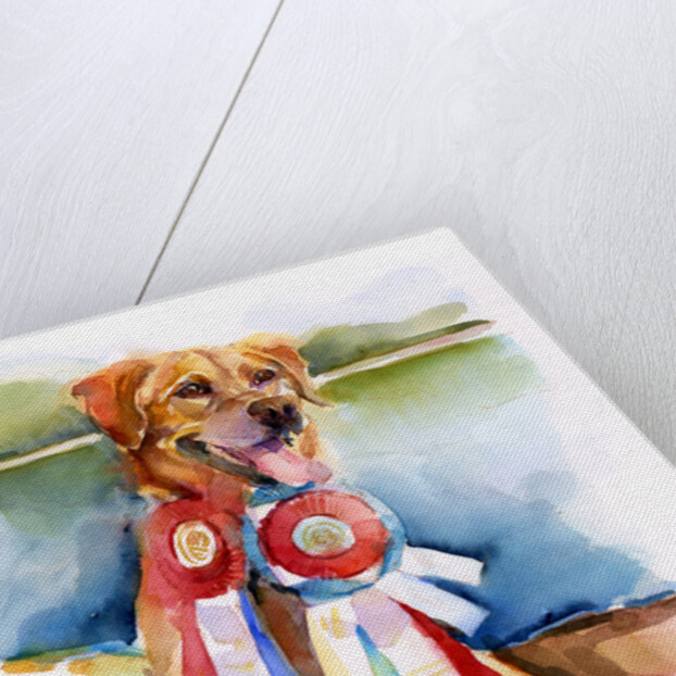 Phog with awards; 2016 by John Keeling