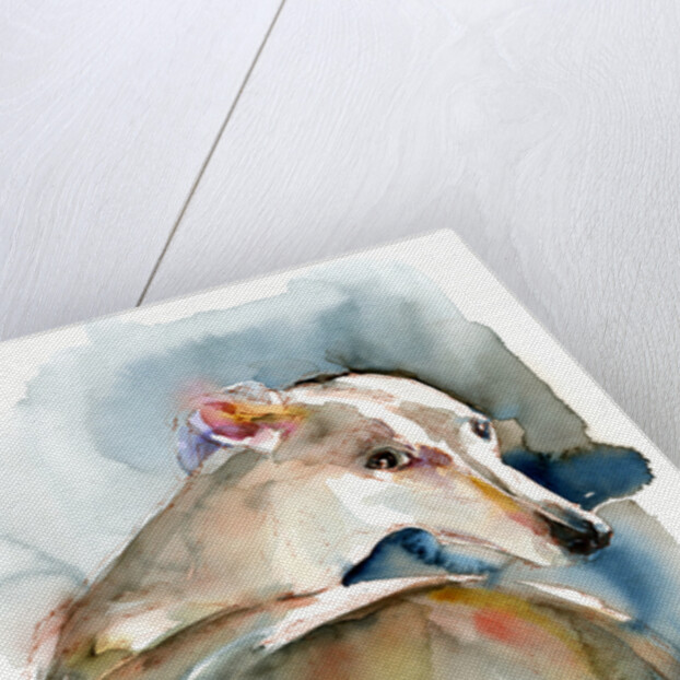 Greyhound Hope, 2016 by John Keeling