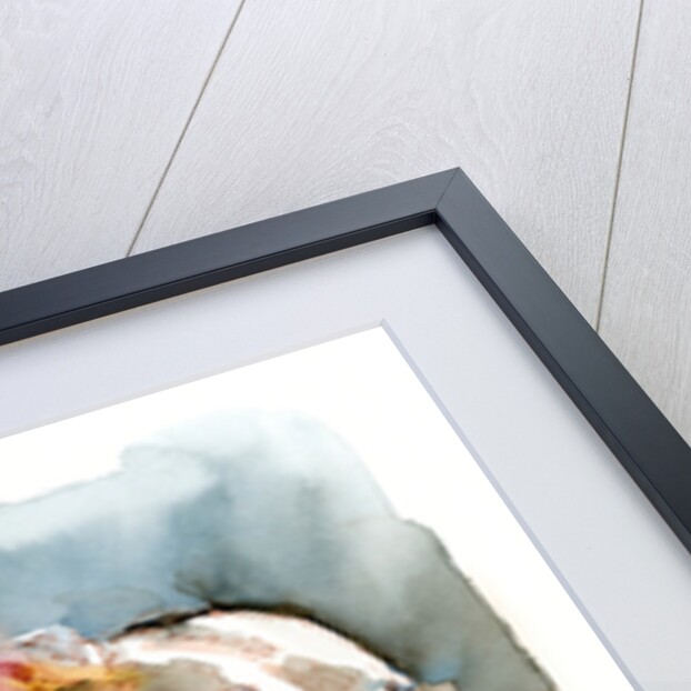 Greyhound Hope, 2016 by John Keeling