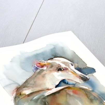 Greyhound Hope, 2016 by John Keeling