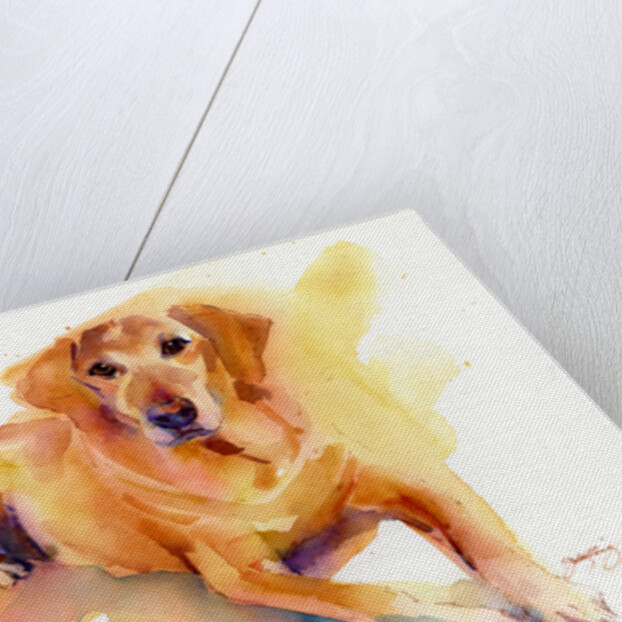 Crash portrait, 2016 by John Keeling