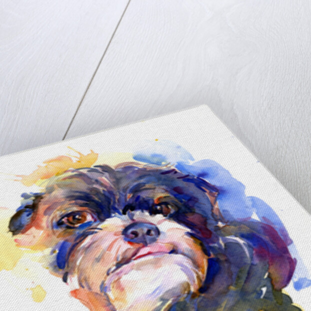 Livi portrait, 2014 by John Keeling