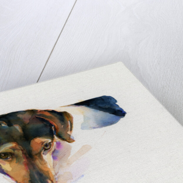 Scout portrait, 2015 by John Keeling