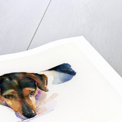 Scout portrait, 2015 by John Keeling