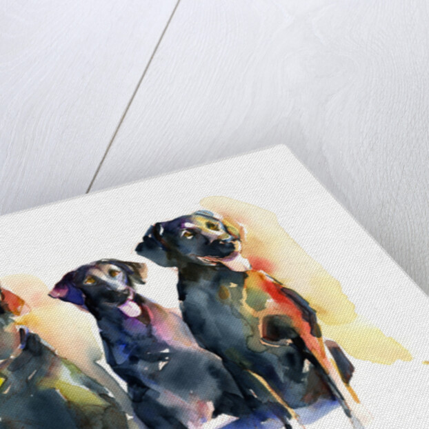 Three Black Labs, 2015 by John Keeling