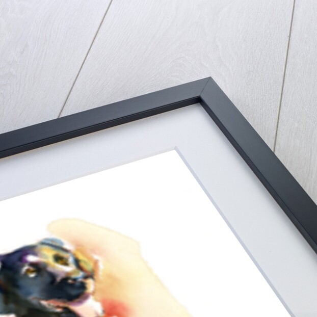 Three Black Labs, 2015 by John Keeling