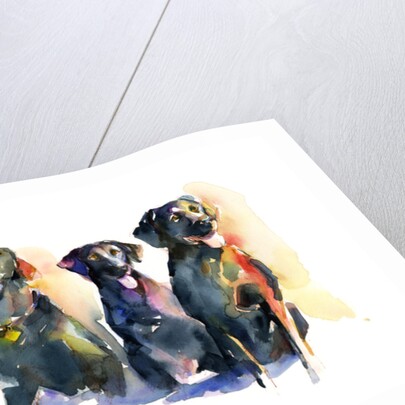 Three Black Labs, 2015 by John Keeling