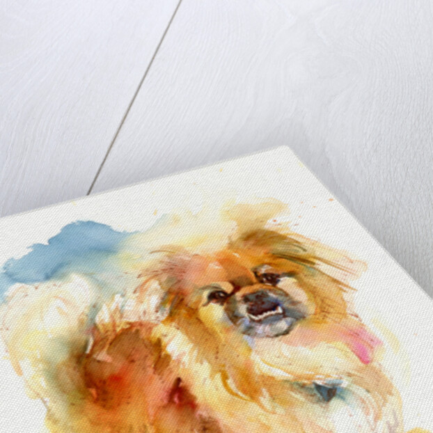 Tipper portrait, 2016 by John Keeling