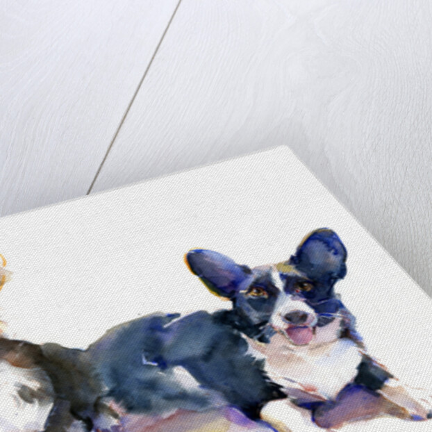 Two Corgis, 2015 by John Keeling