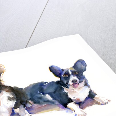 Two Corgis, 2015 by John Keeling