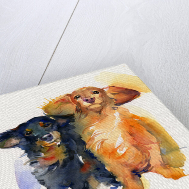 Dachshund Duo, 2014 by John Keeling