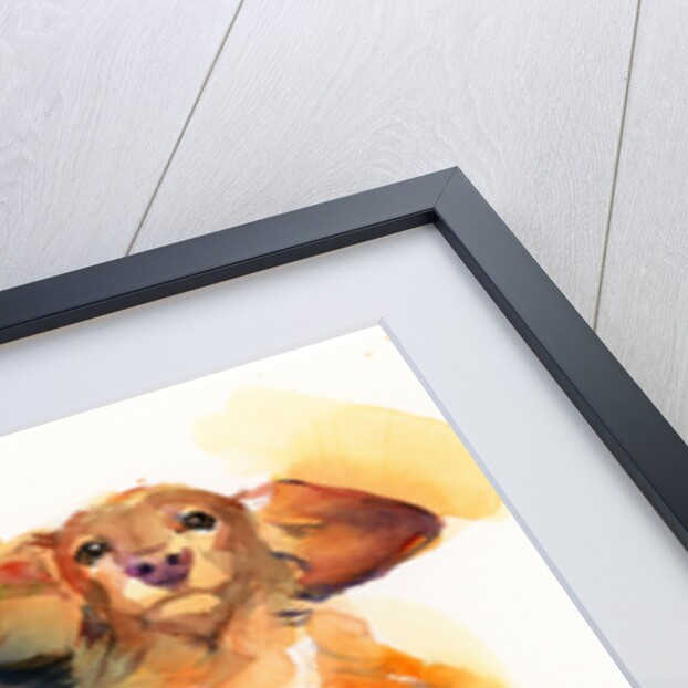 Dachshund Duo, 2014 by John Keeling