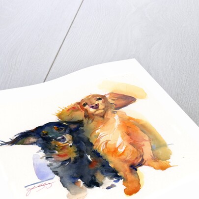 Dachshund Duo, 2014 by John Keeling