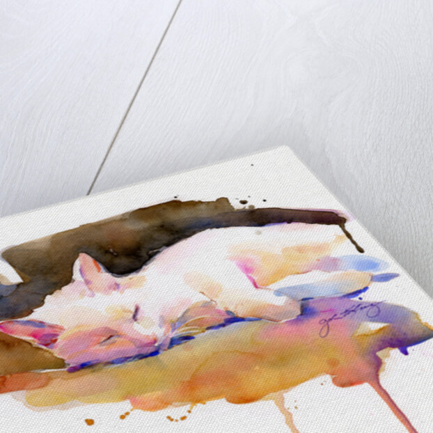 Snowball sleeping, 2014 by John Keeling